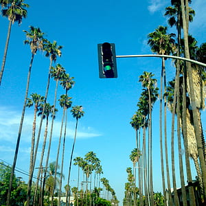 Traffic Light at Green thumbnail