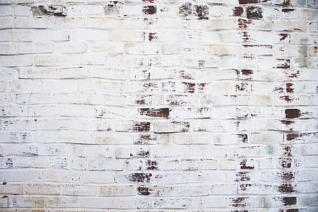 Photography of White Brick Wall thumbnail