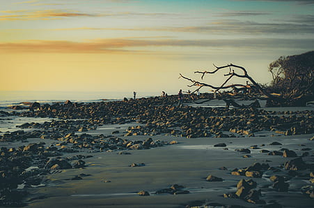 gray rock lot in front of beach thumbnail