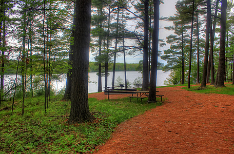 Hiking Path to the picnic path at Council Grounds State Park, Wisconsin thumbnail