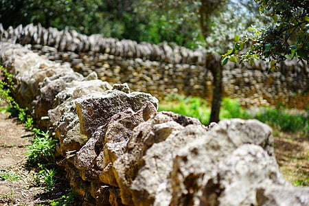 selective focus photography of gray rocks thumbnail