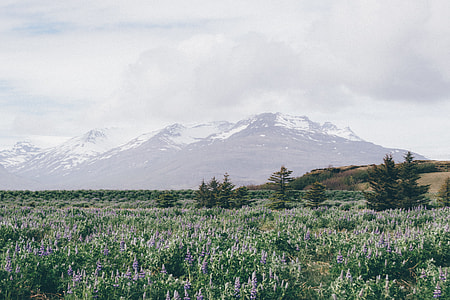 snowy mountain landscape photography thumbnail