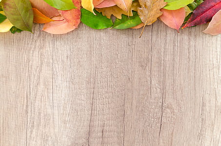wood, dry, texture, table thumbnail
