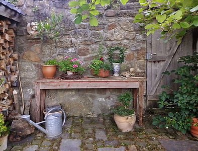 several assorted potted plants on top of rectangular brown wooden table thumbnail