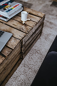 Animals in a designer living room interior with a wooden box table, purple couch and a grey carpet thumbnail