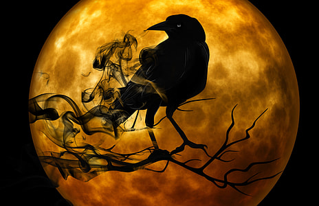 Crow standing on Branch in front of full moon scary Halloween Scene thumbnail