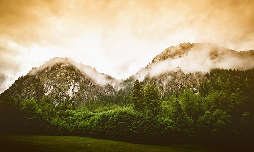 rocky mountains with lots of trees thumbnail