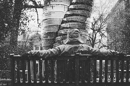 grayscale photography of person sitting on bench near bare trees with snow thumbnail