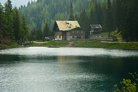 body of water surrounded by trees near concrete structure thumbnail