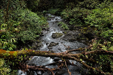 river surrounded by grass thumbnail