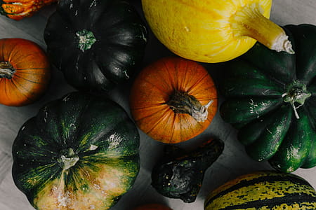 Variety of Pumpkins thumbnail