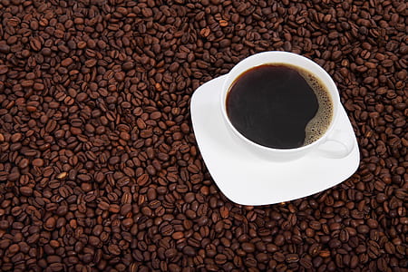 white ceramic cup with saucer on coffee beans thumbnail