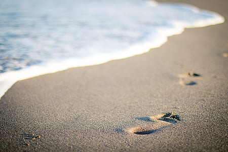 footprints on the sand beside seashore during daytime thumbnail