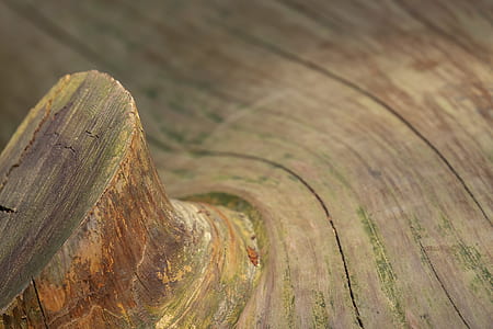 brown wooden surface thumbnail