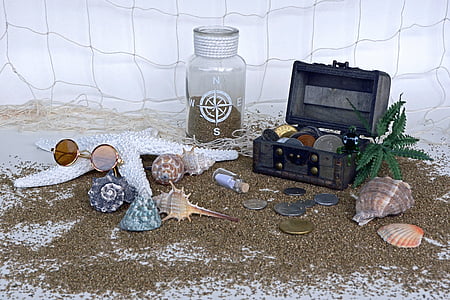 black shells near coins and glasses thumbnail