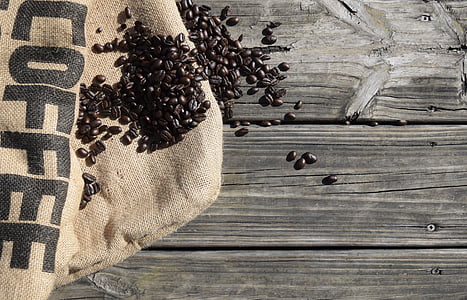 top view of coffee seeds thumbnail