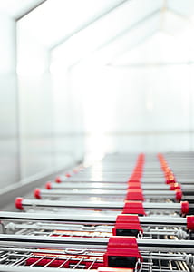 stainless steel shopping cart lot thumbnail