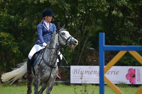 woman riding horse at daytime thumbnail
