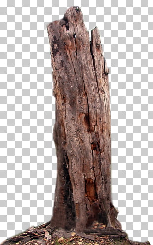 57 Dead Tree Trunk Png Cliparts For Free Download Uihere
