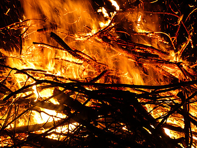burning branches thumbnail
