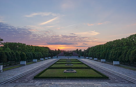 trees and grass landscaping design thumbnail