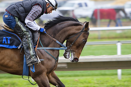 man in black and white top and pants riding horse thumbnail