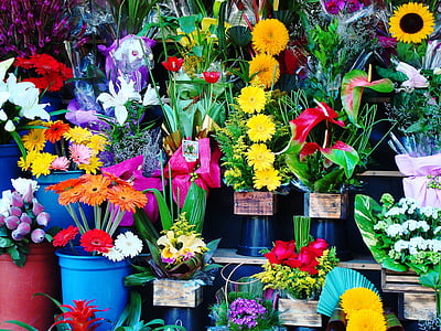assorted-color flower arrangements in closeup photo thumbnail