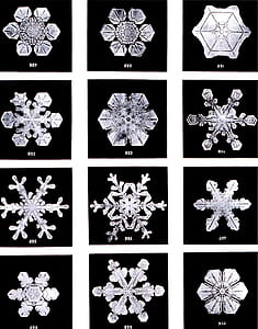 twelve assorted snow flakes collage thumbnail