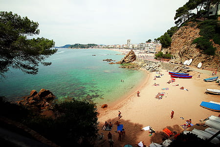 Aerial View of Beach Surrounded by Trees thumbnail