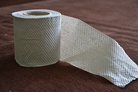 rolled toilet paper thumbnail