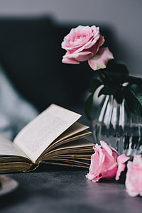 Lovely roseses, book and coffee thumbnail