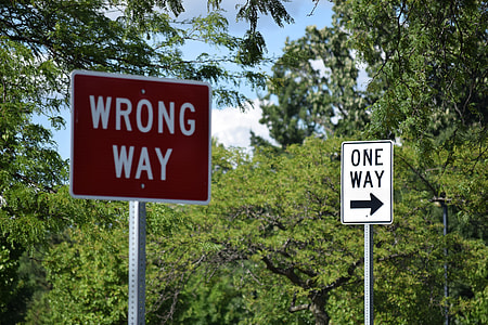 two wrong way and one way signages near green trees thumbnail