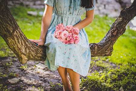wood, person, woman, flowers thumbnail