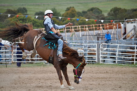 man riding horse thumbnail