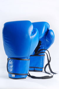 pair of blue boxing gloves thumbnail