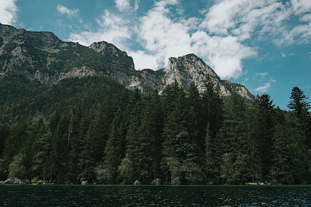 photo of green leaf trees near gray mountain under cloudy sky thumbnail