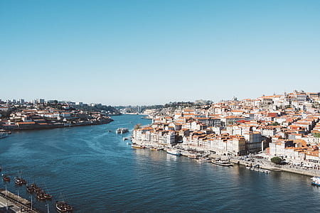 houses beside body of water during day time thumbnail