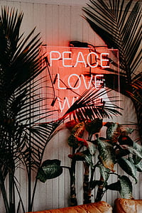 plants near red LED signage thumbnail