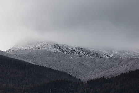 black and white, foggy, fog, mist thumbnail