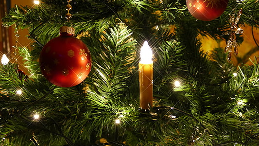 lit up candle on Christmas tree thumbnail