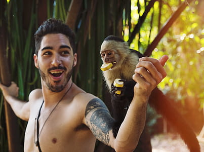 black and beige monkey on man left hand thumbnail