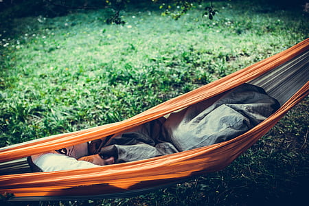 person sleeping in hammock thumbnail