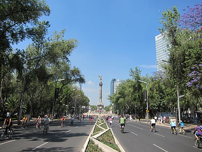people riding bicycles on black top road at daytime thumbnail