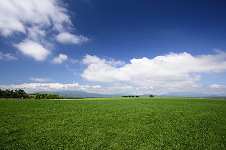 green grass under blue sky at during daytime thumbnail