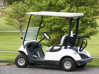 white and black golf cart on gray pavement beside grass field thumbnail