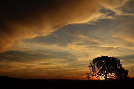 sunset and tree thumbnail