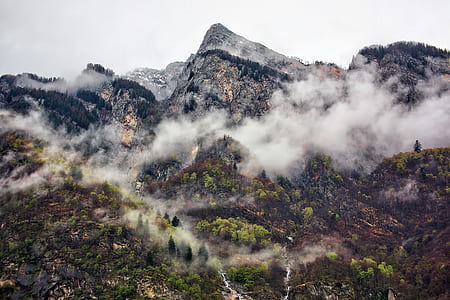 green trees on mountains with smoke thumbnail