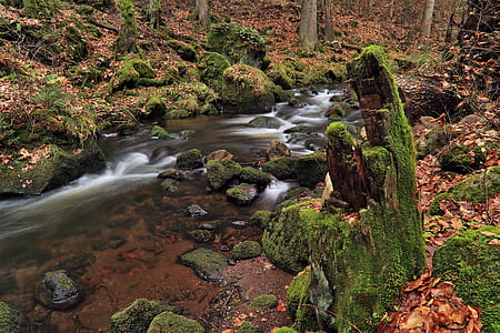 body of water with moss covered rocks thumbnail