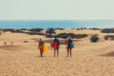 three people walking on brown sand near sea at daytime thumbnail