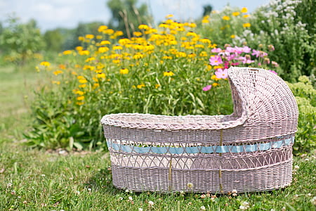 selective focus photography of baby's bassinet on garden thumbnail